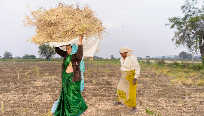 PM Kisan Yojana: किसानों पर आई बड़ी आफत, सरकार ने नए नियमों के तहत इन किसानों को किया OUT