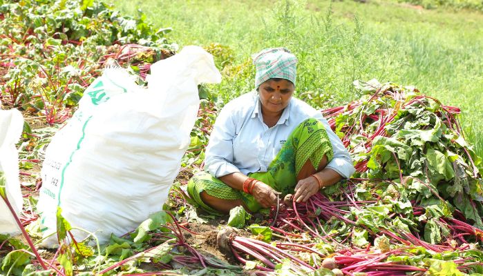 PM Kisan Yojana: 18 वीं क़िस्त के आने का हो गया ऐलान, दशहरा के दिन आएगा किसानों के खाते में 4000 रुपये की राशि