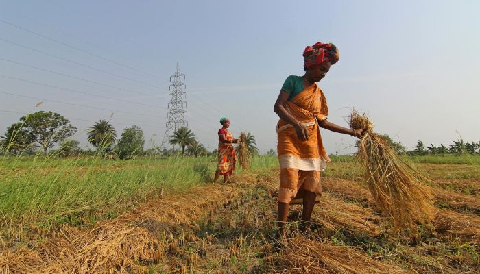 PM Kisan Yojana: इस तारीख को आएगी 17वीं किस्त, सिर्फ इन किसानों को मिलेगा पैसा