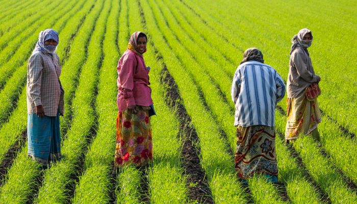 PM Kisan Yojana: सरकार ने किसानों की योजना में किए ये बड़े बदलाव, जान लें कहीं क़िस्त में तो नहीं हो रहे चेंजेस