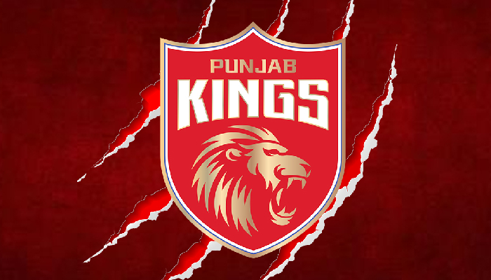 IPL 2025 से पहले Punjab Kings ने उठाया बड़ा कदम, 2 दिग्गजों की कर दी छुट्टी