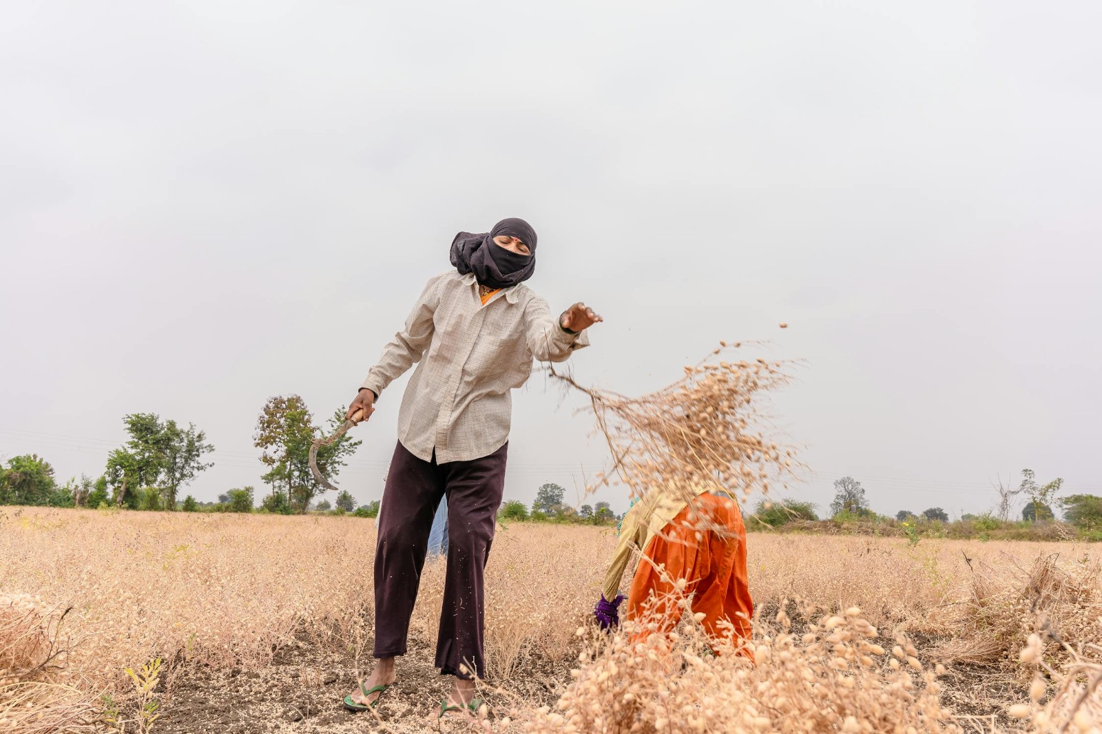 PM Kisan Yojana: अगर योजना में जमा बैंक खाता हो गया है बंद , तो तुरंत ऐसे करवाएं चेंज , वर्ना 18  वी क़िस्त से रह जाएंगे वंचित