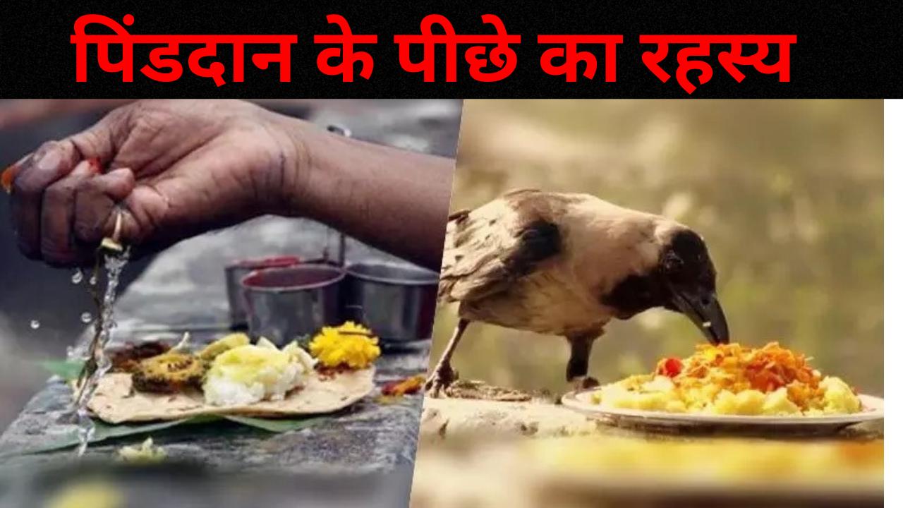 Pitra Paksha 2024: पितरों को चावल या आटे का पिंड क्यों अर्पित किया जाता है?