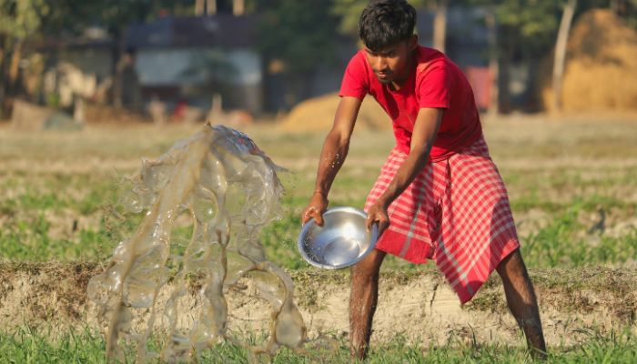 PM Kisan Yojana: क्या दूसरे के खेत में खेती करके उठा सकते हैं योजना का लाभ? जानिए जवाब...