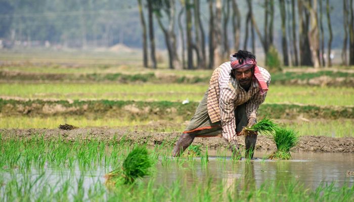 PM Kisan Yojana: किसानों के खातों तक क्यों नहीं पहुँच रहा योजना का पैसा, ये है बड़ी गड़बड़ी, जाने....