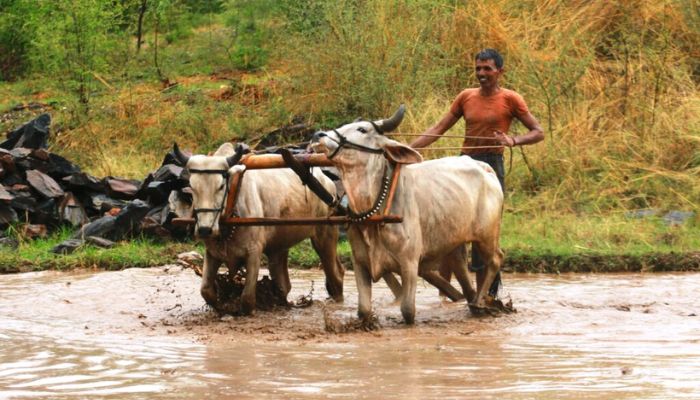 PM Kisan Yojana: इन किसानों से सरकार वापस लें रही है  पैसे, जाने किसका नाम है इस सूचि में