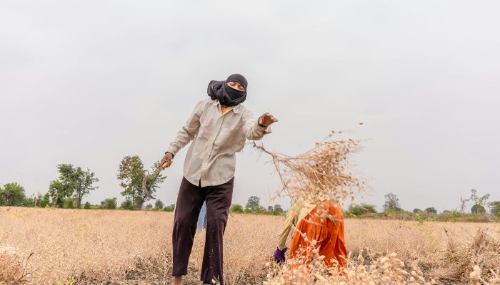 PM Kisan Yojana: इन किसानों की आई मौज, खाते में क्रेडिट होंगे 7,000 रुपये, सरकार ने बनाई लिस्ट