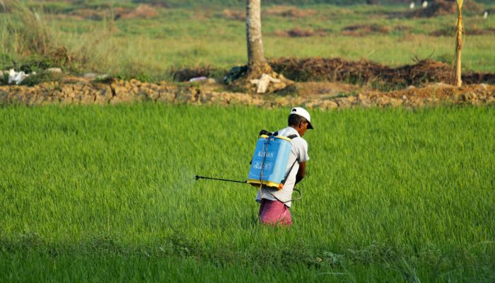 योगी ने दिया नए साल का तोहफा, अब 1 तारीख से किसानों को मिलेगा फ्री बिजली का फायदा