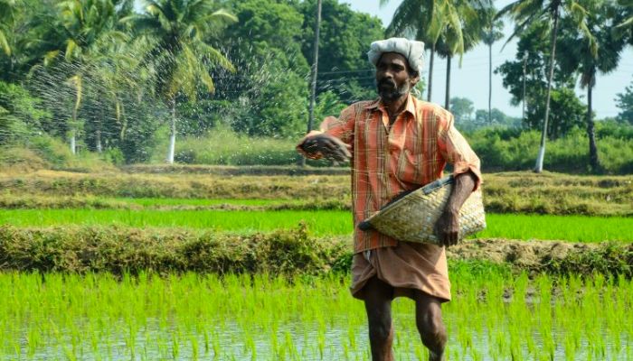 गौ आधारित खेती है पुण्य, बचत और सतत विकास का आधार, किसानों की हो रही बचत