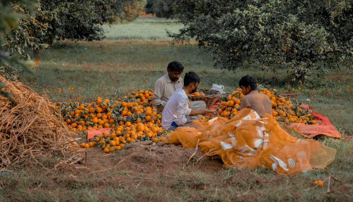 करोड़ों किसानों का इंतजार हुआ खत्म, इस तारीख को खाते में आएंगे डायरेक्ट 4000 रुपये