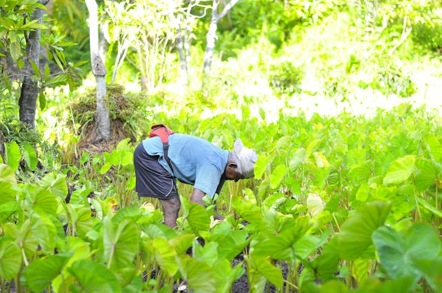 PM Kisan Yojana: किसानों की बढ़ने वाली है क़िस्त की राशि, अब  6000  रुपये नहीं बल्कि इतने मिलगे रुपये