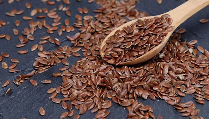 इन लोगों के लिए अलसी के बीज (Flax Seeds) खाना हो सकता है खतरनाक!