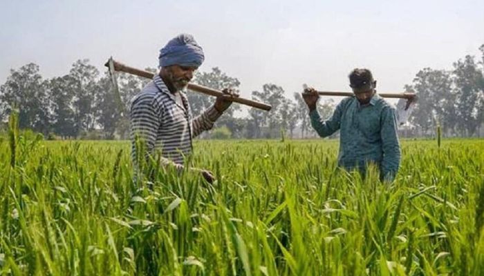 'प्रधानमंत्री किसान सम्मान निधि योजना' से किसानों को मिल रहा लाभ, खरीद रहे बीज और खाद