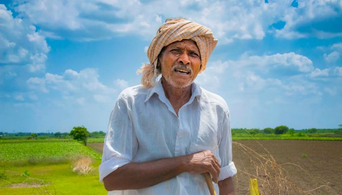 PM Kisan Yojana: किसान योजना के स्टेटस में दिख रहा है ये तो नहीं मिलेगा क़िस्त का पैसा, जानें कैसे करें Status चेक ...