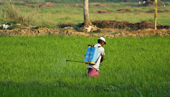 PM Kisan Yojana: सरकार के इस फैसले को सुन ख़ुशी से झूम उठें किसान, फ़सलों की रेट में हुई बढ़ोतरी