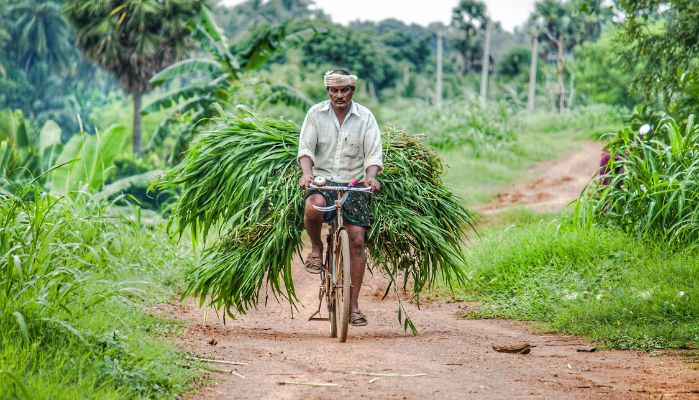 PM Kisan Yojana: इंतजार खत्म! हो गई डेट रिलीज, इस दिन क्रेडिट होंगे किसान योजना की क़िस्त