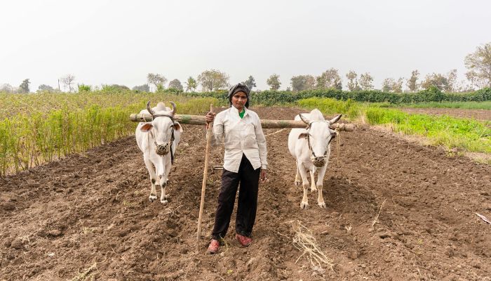 PM Kisan Yojana: अगर आज आपकी 18 वीं क़िस्त नहीं आई तो किसान इस नंबर पर कर सकते है संपर्क