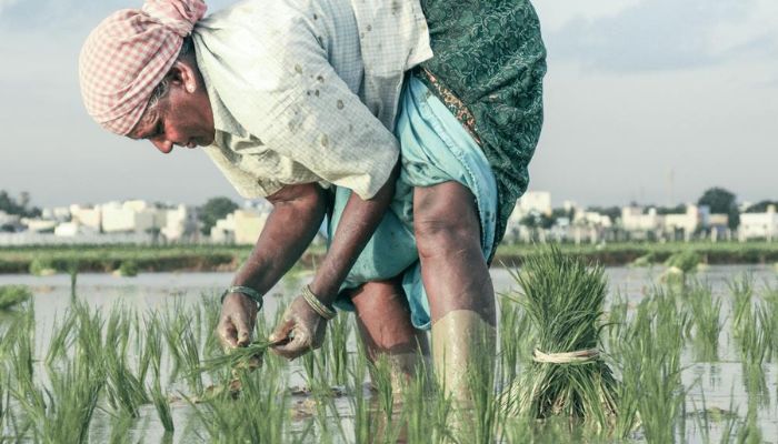 PM Kisan Yojana: अभी तक नहीं आई आपके खाते में 18 वीं क़िस्त के पैसे , तो तुरंत करें ये काम , झट से आ जाएंगे 2000 रुपये