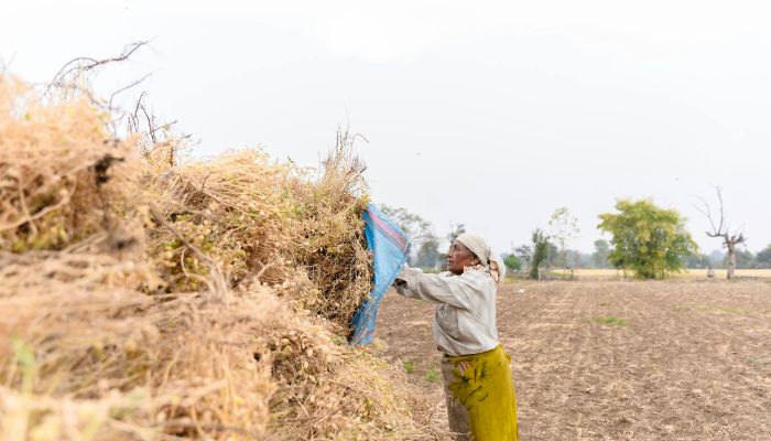 PM Kisan Yojana: किसानों पर मेहरबान हुई सरकार, दशहरा से पहलें खाते में आएंगे 15 लाख रूपये