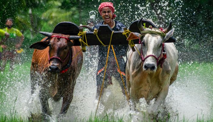 PM Kisan Yojana: किसानों की आई मौज! सरकार इस दिवाली कर रहीं हैं नोटों की बारिश, 3000 तक की मिलेगी राशि