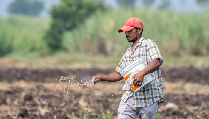 PM Kisan Yojana: योगी सरकार ने किसानों को दिया तोहफा, ये अनाज बोने वाले किसानों की होगी बल्ले-बल्ले