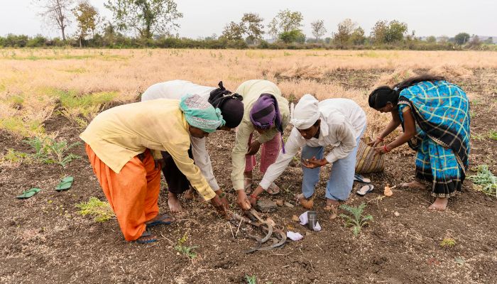 इस योजना से किसानों को घर बैठ ही मिलेंगे 3 हजार, जानिए क्या है ये लाभकारी स्कीम