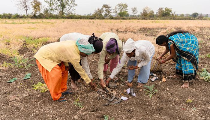 सरकार ने किसानों को दिया अभी से नए वर्ष का तोहफा, उम्रभर के लिए ये चीजें कर दी एकदम Free