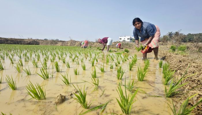 खुशखबरी, करोड़ों किसानों के खाते में जमा होंगे 2000 नहीं बल्कि 4000 हजार रुपये