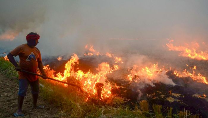 Pollution: बढ़ते प्रदूषण के चलते पराली जलाने वाले किसानों के खिलाफ होगी कड़ी कार्रवाई, कृषि विभाग ने दिए सख्त आदेश