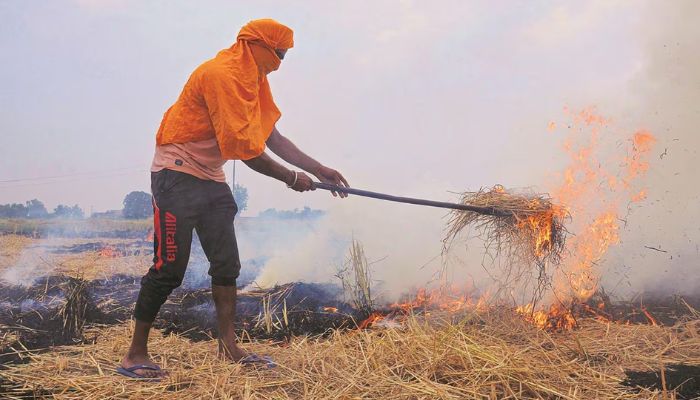 पराली जलाने की कीमत बुजुर्गो और बच्चों को चुकानी पड़ रही है,खराब हालत के लिए केंद्र जिम्मेदार- आतिशी