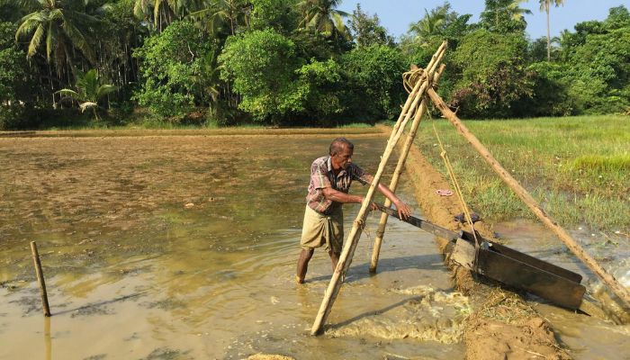 Land Mutation For Farmers: दिल्ली के किसानों की ख़ुशी हुई दोहरी, जमीन के मालिकाना हक्क के साथ मिलेंगे 2 लाख रुपये