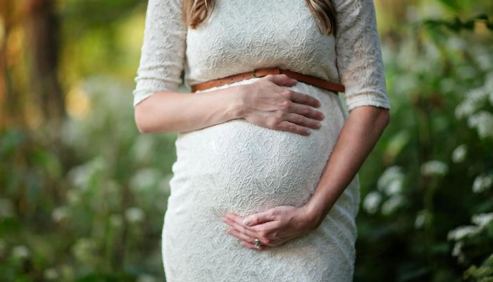 Pregnant Women Yojana: महिलाओं के लिए ये योजना है बेस्ट, गर्भवती महीलाओं को मिलती है आर्थिक मदद