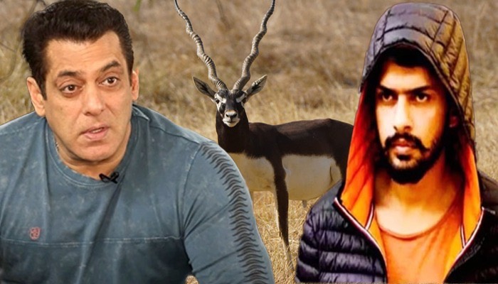 Lawrence गैंग की धमकी के बीच Salman  का बयान वायरल, बताई काला हिरण शिकार की पूरी कहानी !