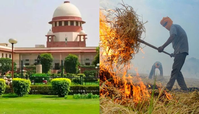 Supreme Court: सुप्रीम कोर्ट ने लगाई इन राज्यों की फटकार, पराली जलाने वालों की अब खैर नहीं